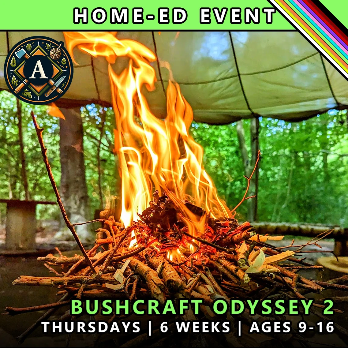 Bushcraft Odyssey Thursday course for home-ed children at TRIBE Course A with honours