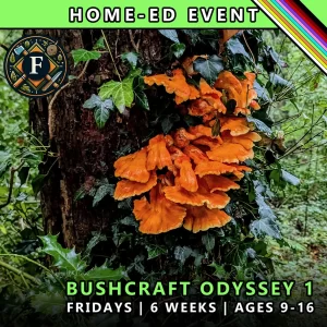 Bushcraft odyssey Friday course for home-ed children at TRIBE Course F with honours