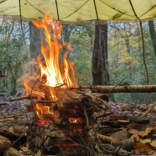 TRIBE IOL Bushcraft Competency fire 1